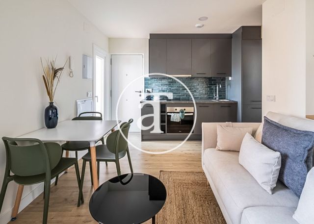 Appartement d'une chambre à louer temporairement avec terrasse près de la Plaza Castilla 1