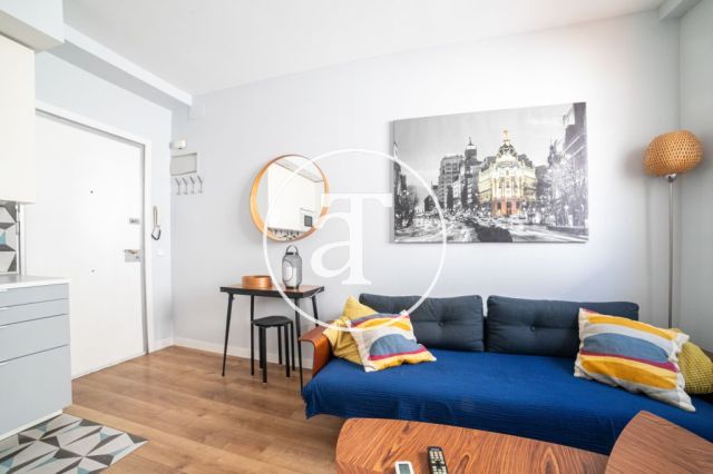 Monthly rental apartment with 1 bedroom in Malasaña neighborhood 6