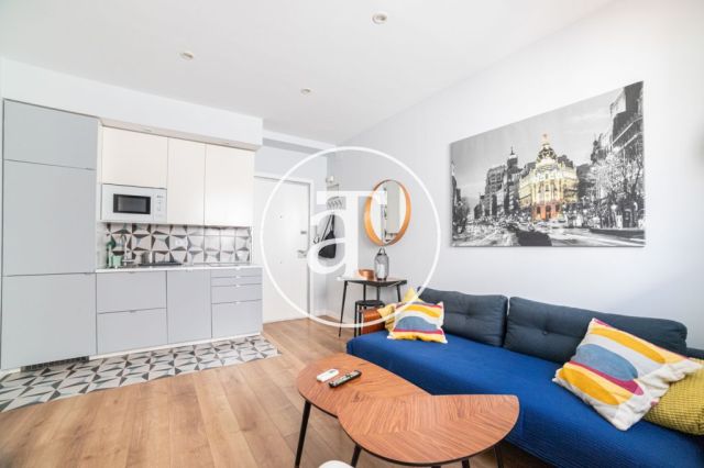 Monthly rental apartment with 1 bedroom in Malasaña neighborhood 3