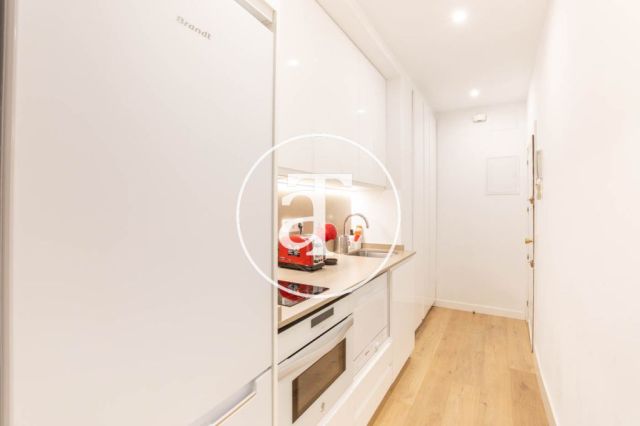 Monthly rental apartment with 1 bedroom in Chamartin 12