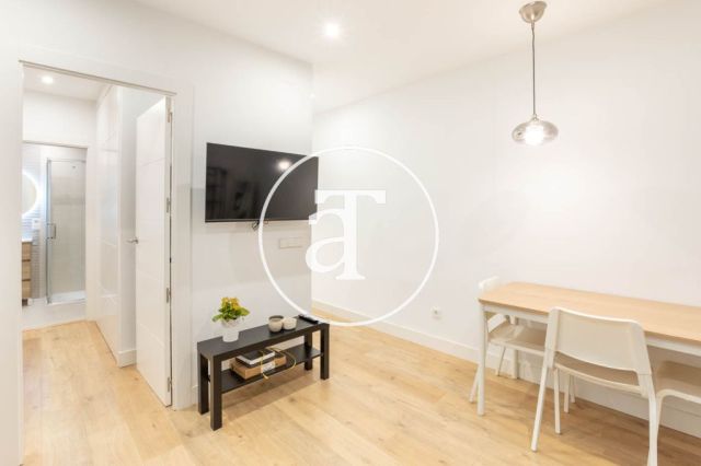 Monthly rental apartment with 1 bedroom in Chamartin 11