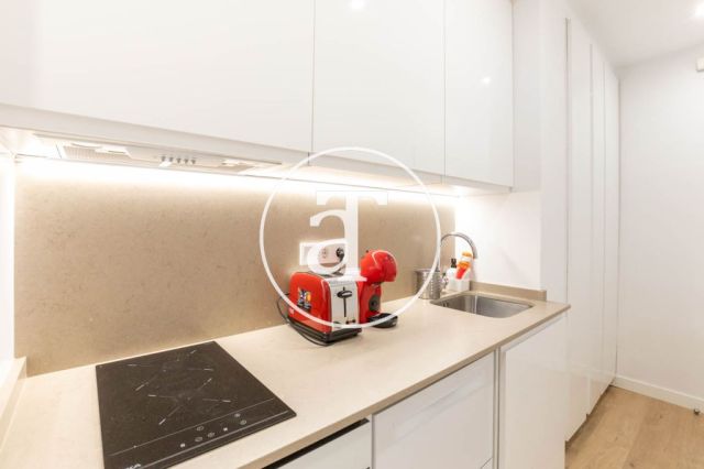 Monthly rental apartment with 1 bedroom in Chamartin 14