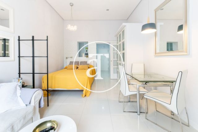 Monthly rental studio with 1 bedroom and 1 bathroom in Centro - Sol neighborhood 11