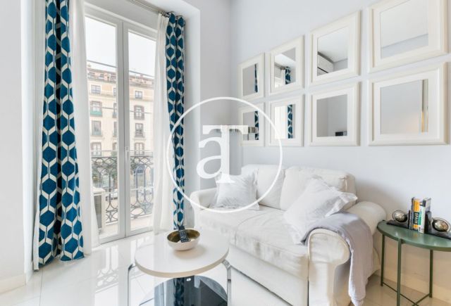 Monthly rental studio with 1 bedroom and 1 bathroom in Centro - Sol neighborhood 3