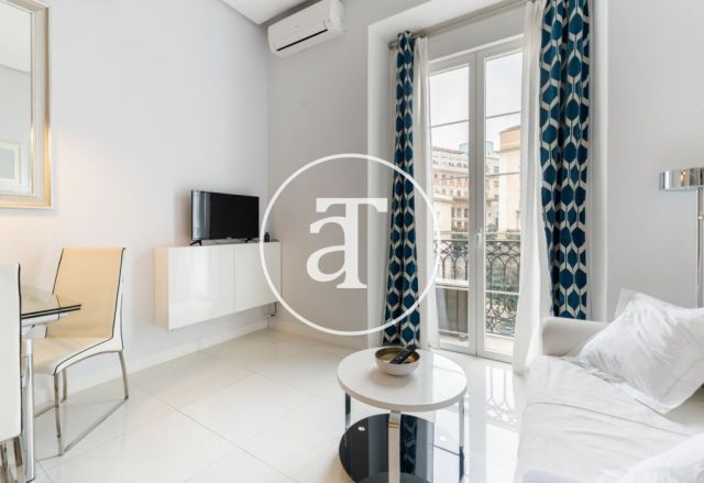 Monthly rental studio with 1 bedroom and 1 bathroom in Centro - Sol neighborhood 2