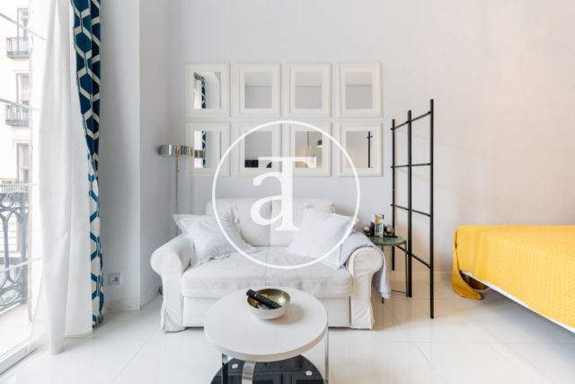 Monthly rental studio with 1 bedroom and 1 bathroom in Centro - Sol neighborhood 12