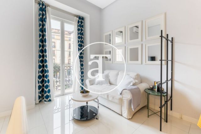 Monthly rental studio with 1 bedroom and 1 bathroom in Centro - Sol neighborhood