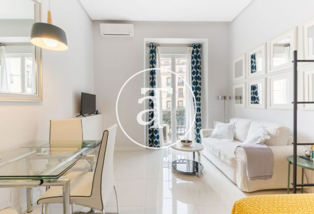 Monthly rental studio with 1 bedroom and 1 bathroom in Centro - Sol neighborhood 6