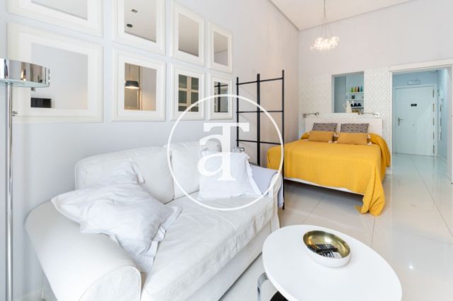 Monthly rental studio with 1 bedroom and 1 bathroom in Centro - Sol neighborhood 13