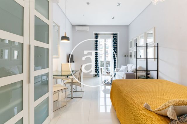 Monthly rental studio with 1 bedroom and 1 bathroom in Centro - Sol neighborhood 10