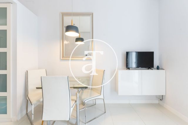 Monthly rental studio with 1 bedroom and 1 bathroom in Centro - Sol neighborhood 8