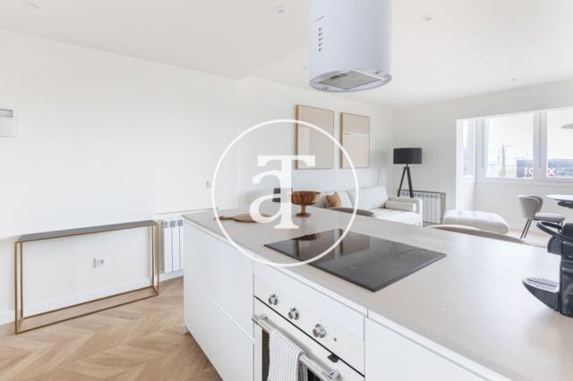 Monthly rental apartment with 2 bedrooms and 2 bathrooms in the Castilla - Chamartin neighborhood 6