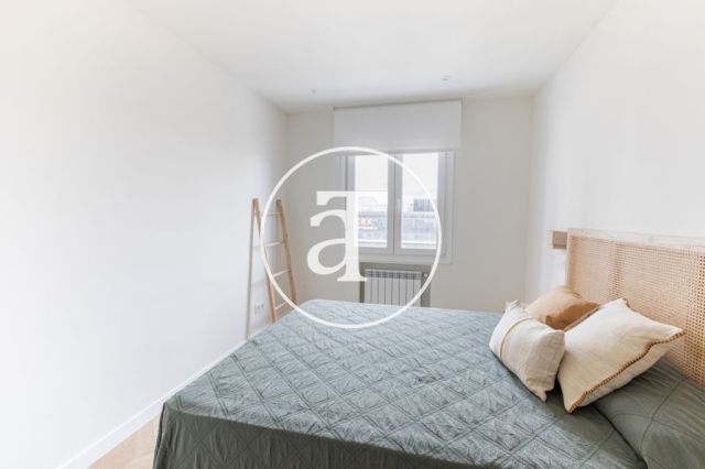 Monthly rental apartment with 2 bedrooms and 2 bathrooms in the Castilla - Chamartin neighborhood 10