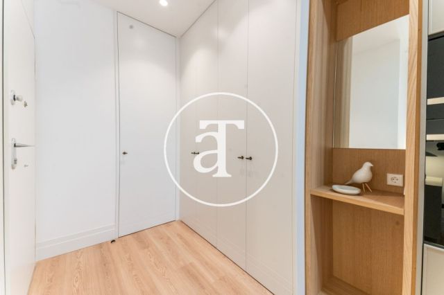 Monthly rental apartment of 1 bedroom suite with bathroom and balcony in Centro - Justicia neighborhood 31