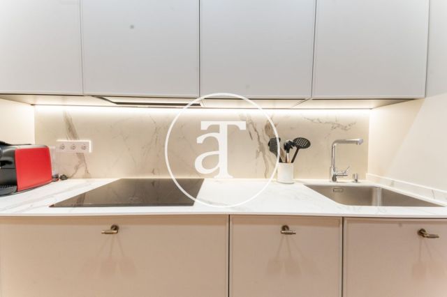Monthly rental apartment of 1 bedroom suite with bathroom and balcony in Centro - Justicia neighborhood 14
