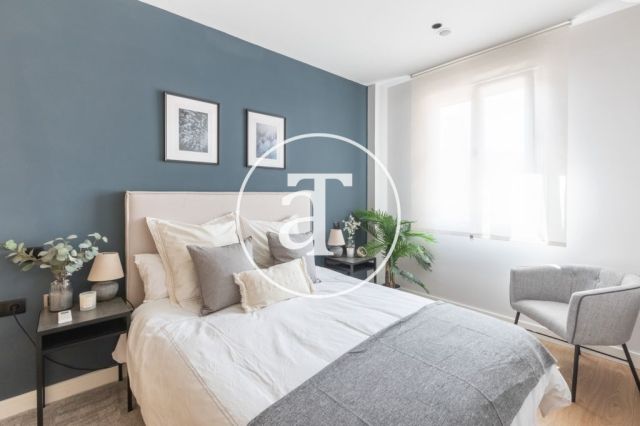 Monthly rental apartment with 1 bedroom and 1 bathroom and a study in Fuente del Berro, Salamanca 8
