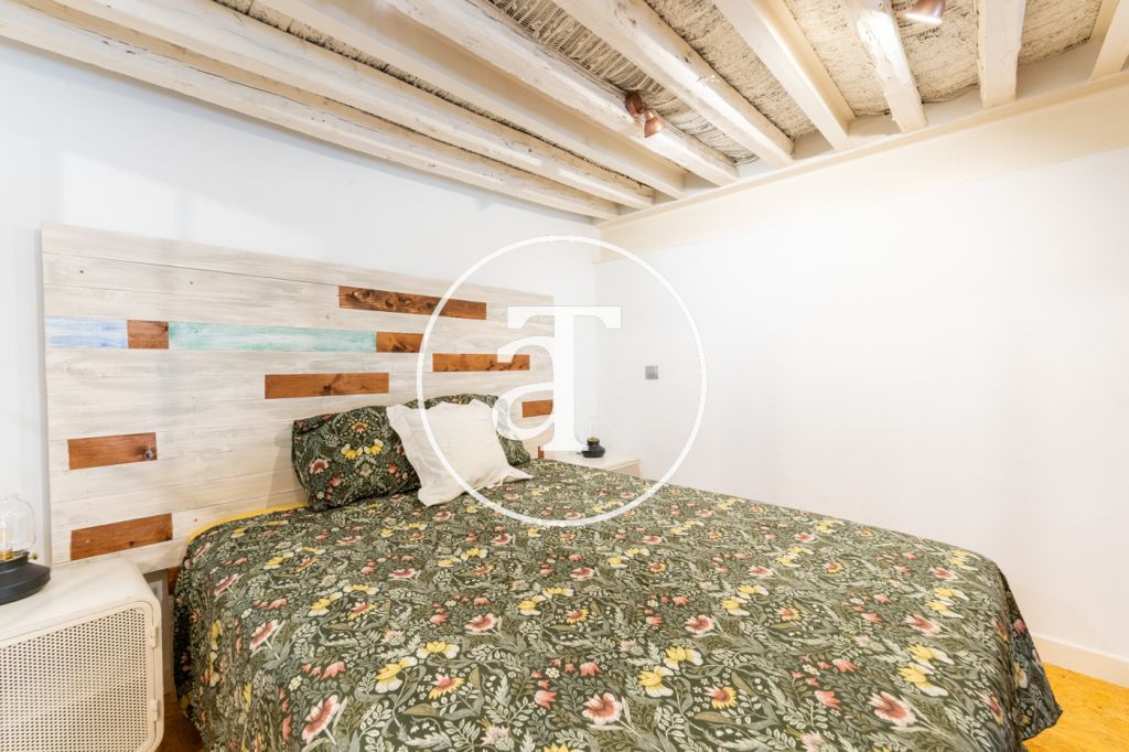 Piso de alquiler temporal de 1 habitación y 1 baño en el centro de Madrid 16