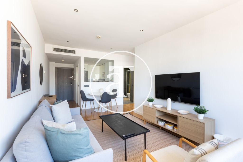 Piso de alquiler temporal de 1 habitación con vestidor y 1 baño en Salamanca 5