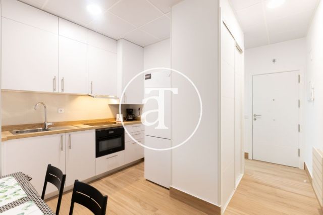 Studio à louer temporairement avec 1 chambre et 1 salle de bain à Latina, avec accès direct aux parcs et aux espaces verts. 3