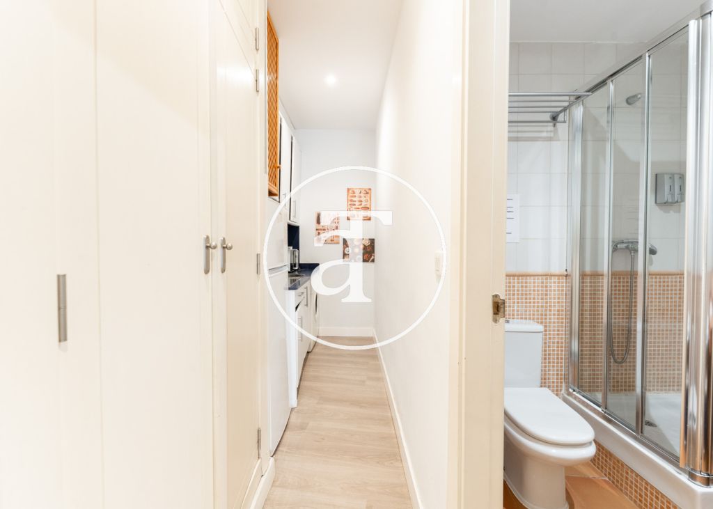 Monthly rental apartment with 1 bedroom and 1 bathroom in the center of Madrid 4