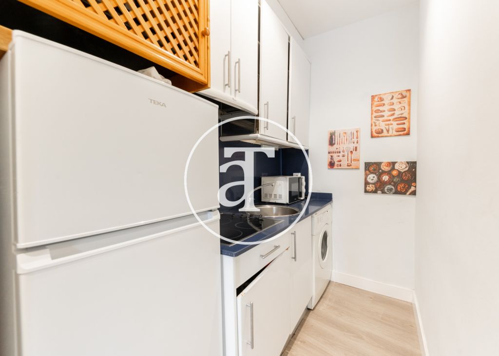 Monthly rental apartment with 1 bedroom and 1 bathroom in the center of Madrid 5