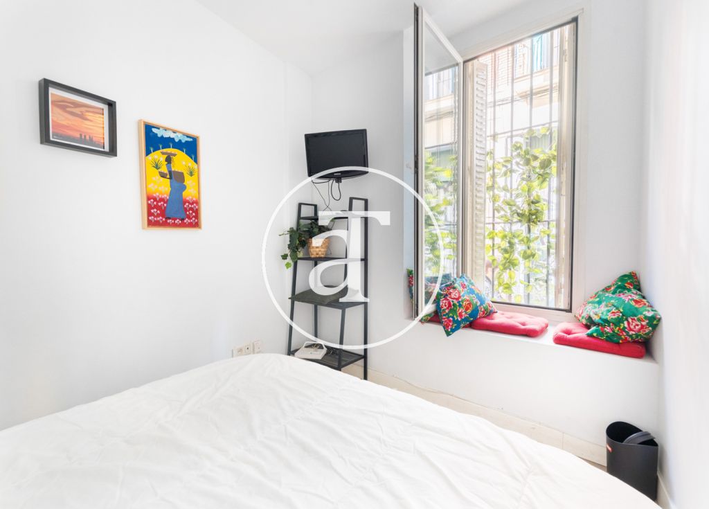 Monthly rental apartment with 1 bedroom and 1 bathroom in the center of Madrid 10