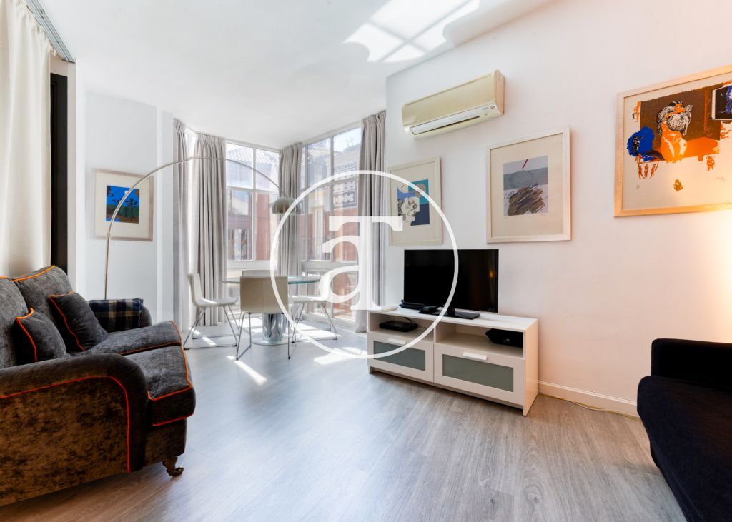 Monthly rental apartment with 1 bedroom and 1 bathroom in the center of Madrid near the Royal Palace