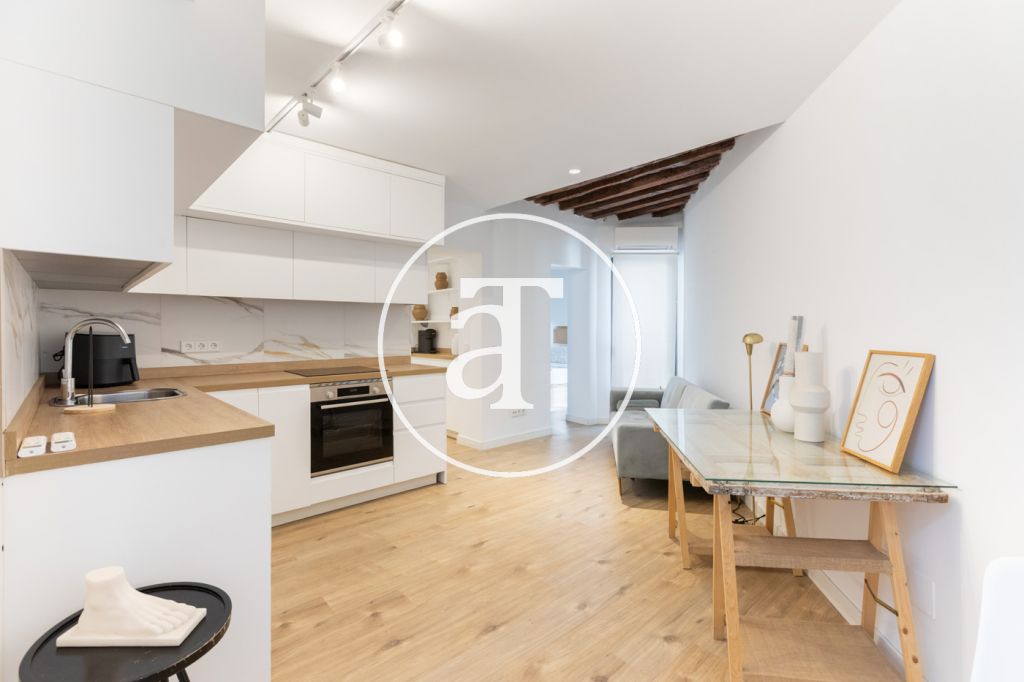 Monthly rental apartment with 1 bedroom and 1 bathroom in La Latina