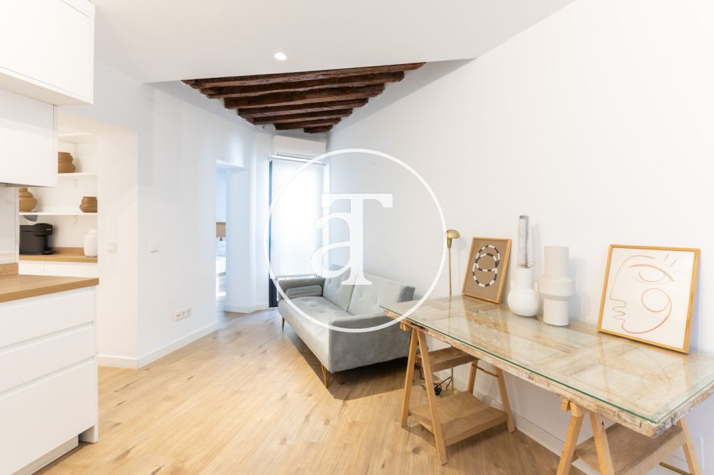 Monthly rental apartment with 1 bedroom and 1 bathroom in La Latina 7