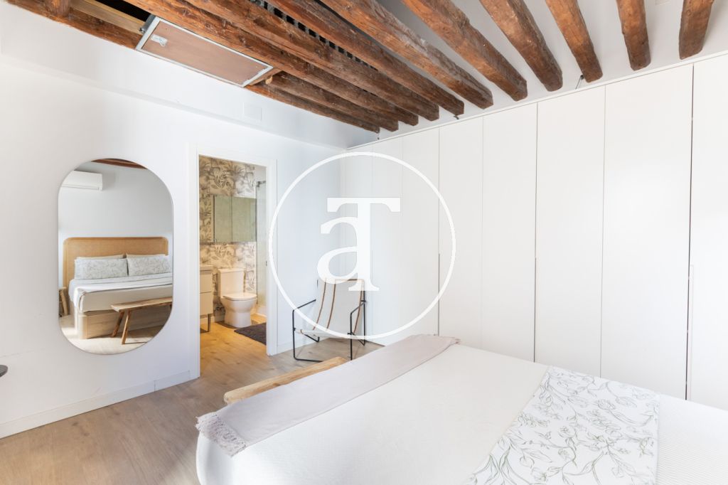 Monthly rental apartment with 1 bedroom and 1 bathroom in La Latina 21