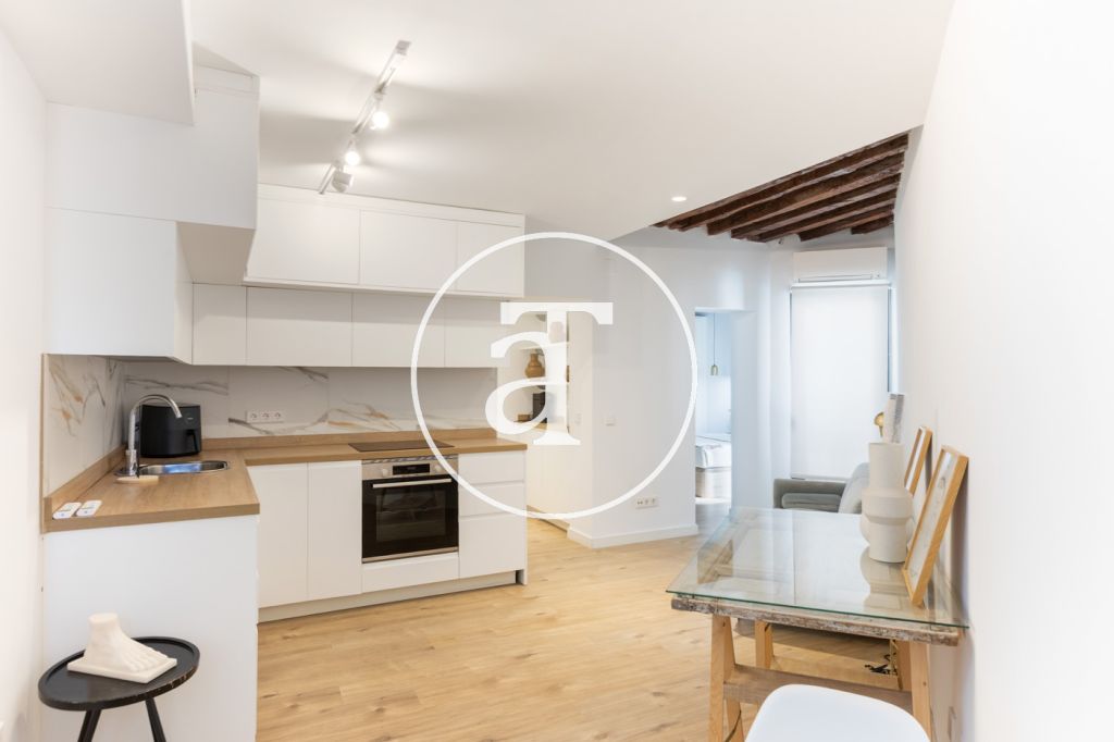 Monthly rental apartment with 1 bedroom and 1 bathroom in La Latina 2
