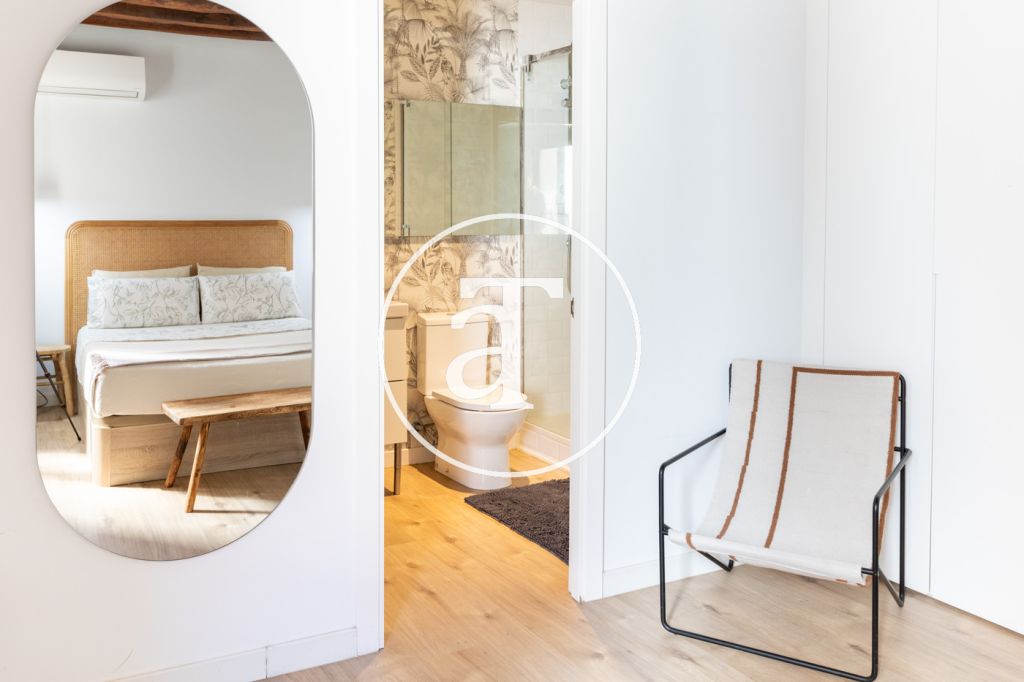 Monthly rental apartment with 1 bedroom and 1 bathroom in La Latina 15