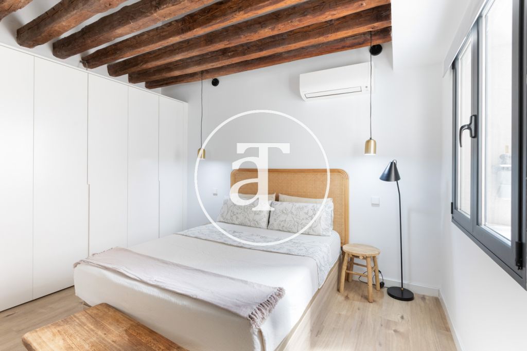 Monthly rental apartment with 1 bedroom and 1 bathroom in La Latina 16