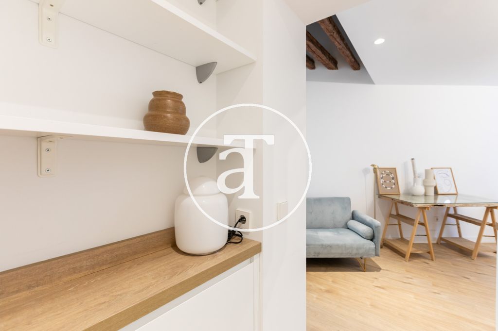 Monthly rental apartment with 1 bedroom and 1 bathroom in La Latina 12