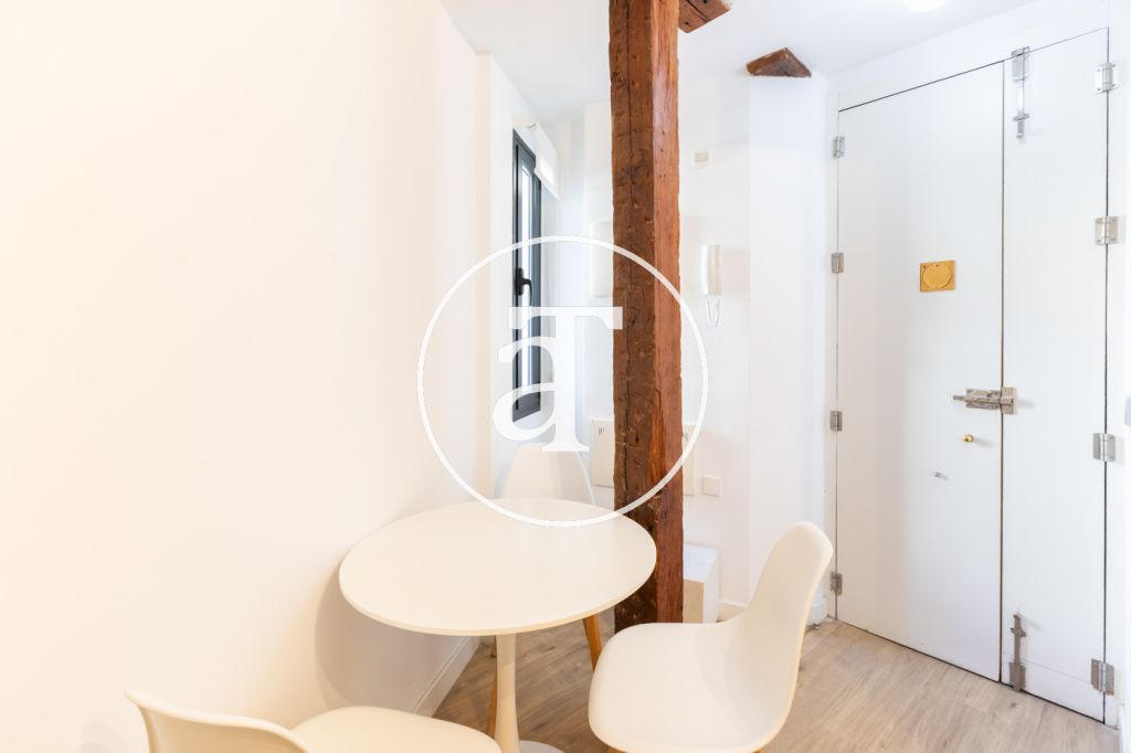Monthly rental apartment with 1 bedroom and 1 bathroom in La Latina 6