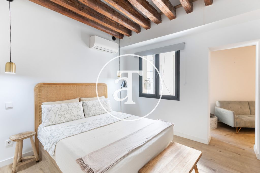 Monthly rental apartment with 1 bedroom and 1 bathroom in La Latina 17