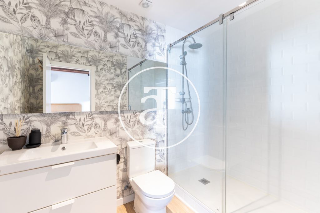 Monthly rental apartment with 1 bedroom and 1 bathroom in La Latina 22