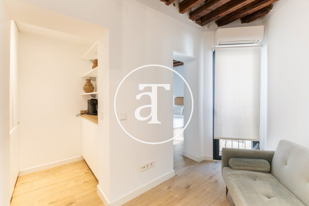 Monthly rental apartment with 1 bedroom and 1 bathroom in La Latina 14