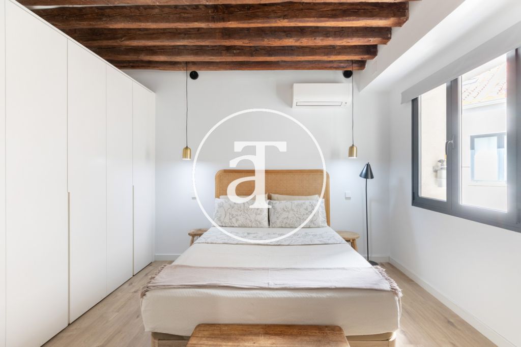 Monthly rental apartment with 1 bedroom and 1 bathroom in La Latina 18