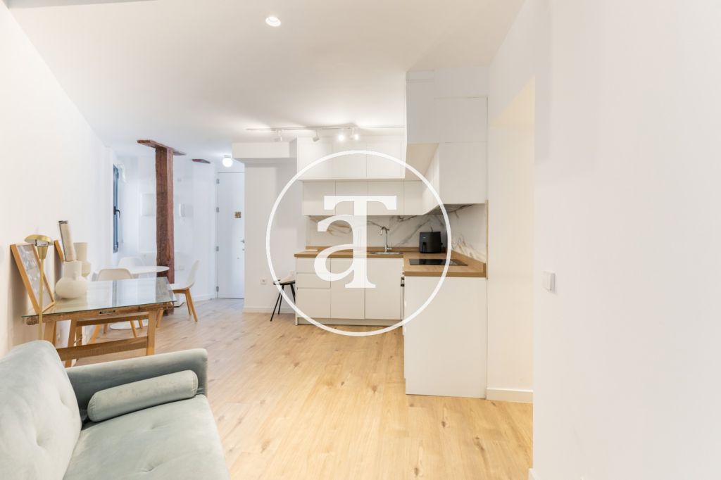 Monthly rental apartment with 1 bedroom and 1 bathroom in La Latina 8