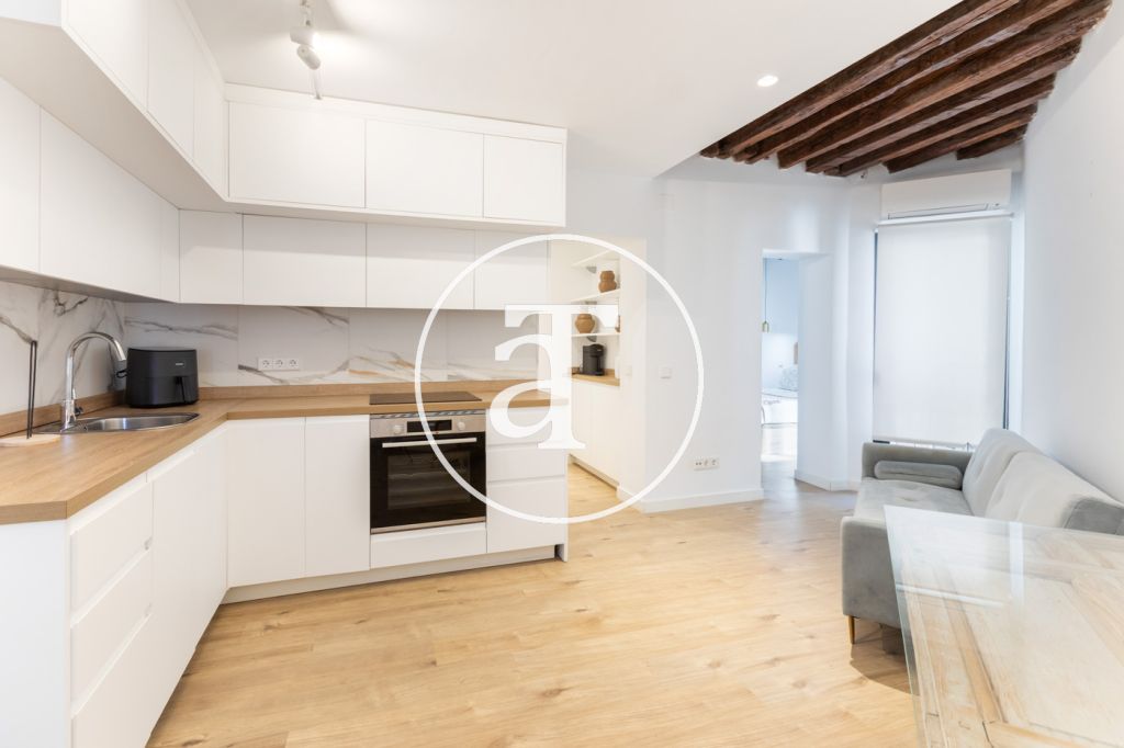 Monthly rental apartment with 1 bedroom and 1 bathroom in La Latina 9
