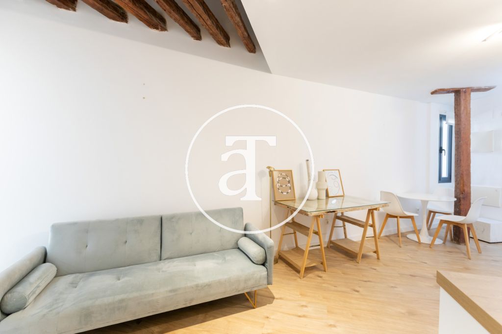 Monthly rental apartment with 1 bedroom and 1 bathroom in La Latina 3
