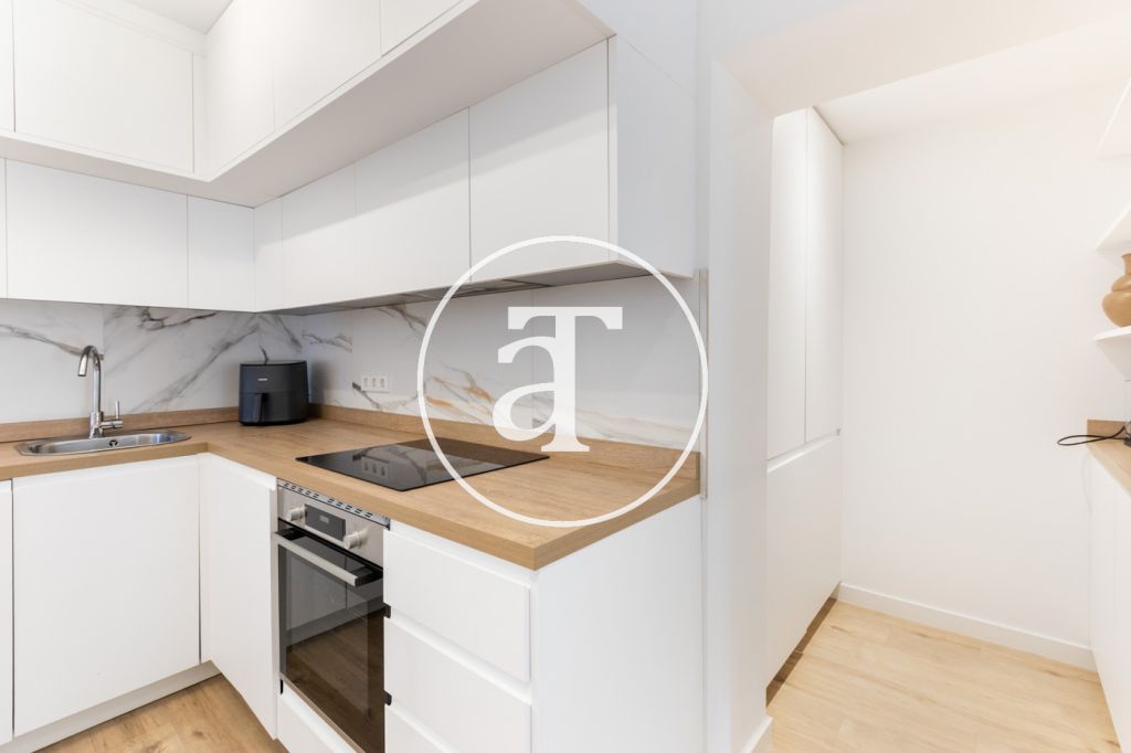 Monthly rental apartment with 1 bedroom and 1 bathroom in La Latina 11
