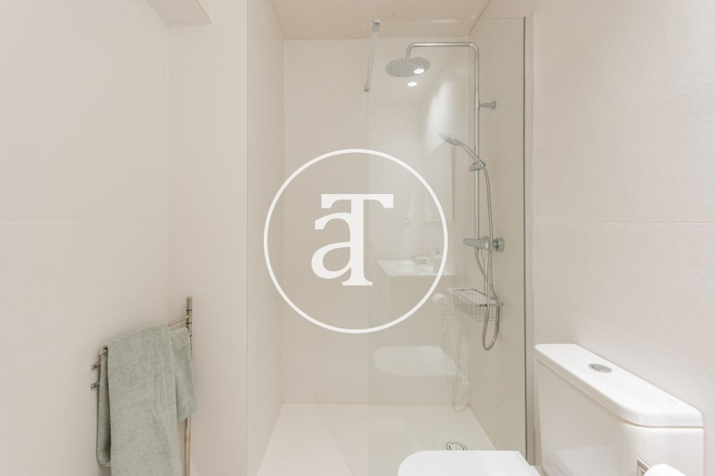 Piso de alquiler temporal de 1 habitación y 1 baño en Ciudad Lineal 22