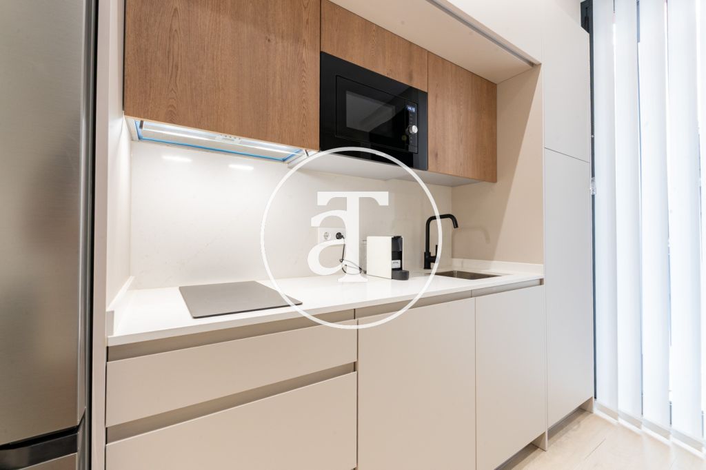 Estudio de alquiler temporal de 1 habitación y baño en Argüelles 9