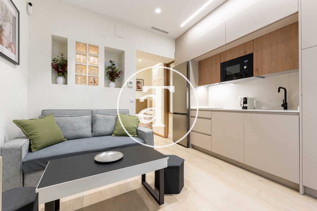 Estudio de alquiler temporal de 1 habitación y baño en Argüelles 3