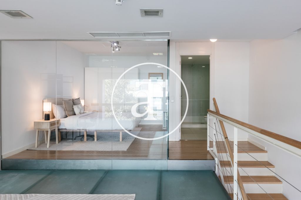 Duplex for monthly rental with 1 bedroom, bathroom and toilet with terrace in Simancas 24