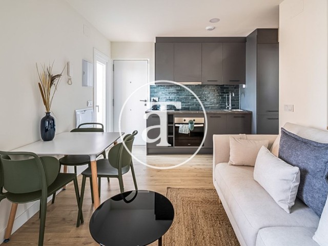 Piso de alquiler temporal de 1 habitación y terraza próximo a Plaza Castilla