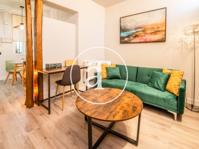 Monthly rental apartment of 1 double room in the Center