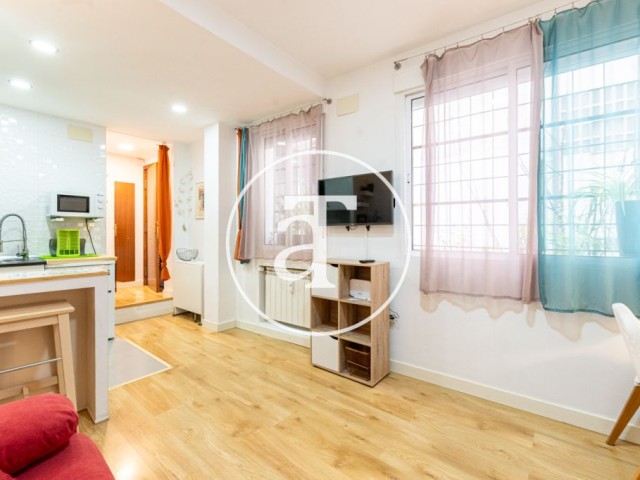 Monthly rental studio with 1 bedroom and 1 bathroom in Centro - Palacio